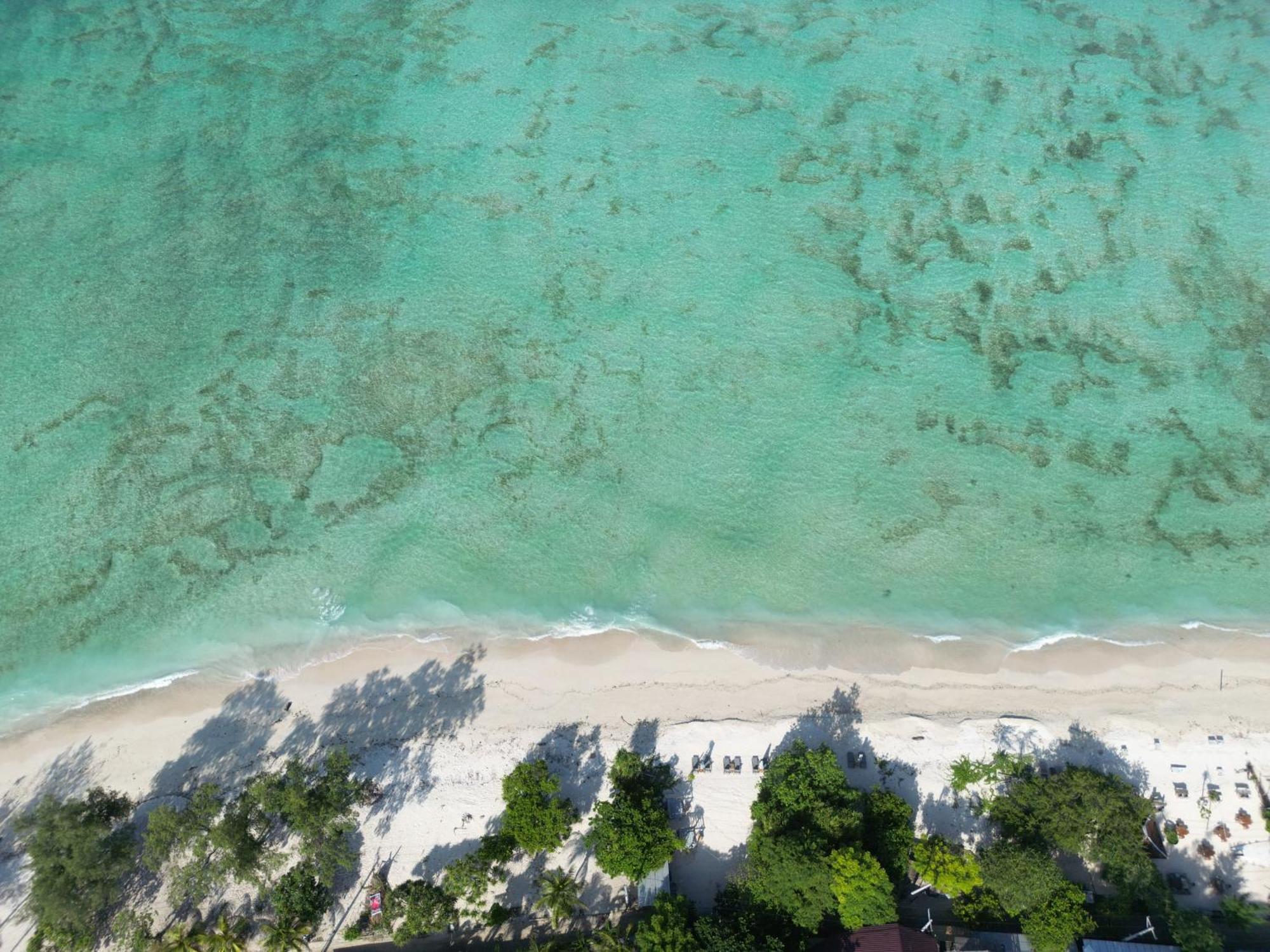Mowies On The Beach Gili Air Exterior photo